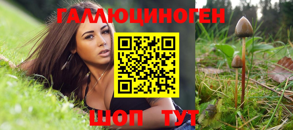 Псилоцибиновые грибы GOLDEN TEACHER  Вход с VPN  что такое   Топки 